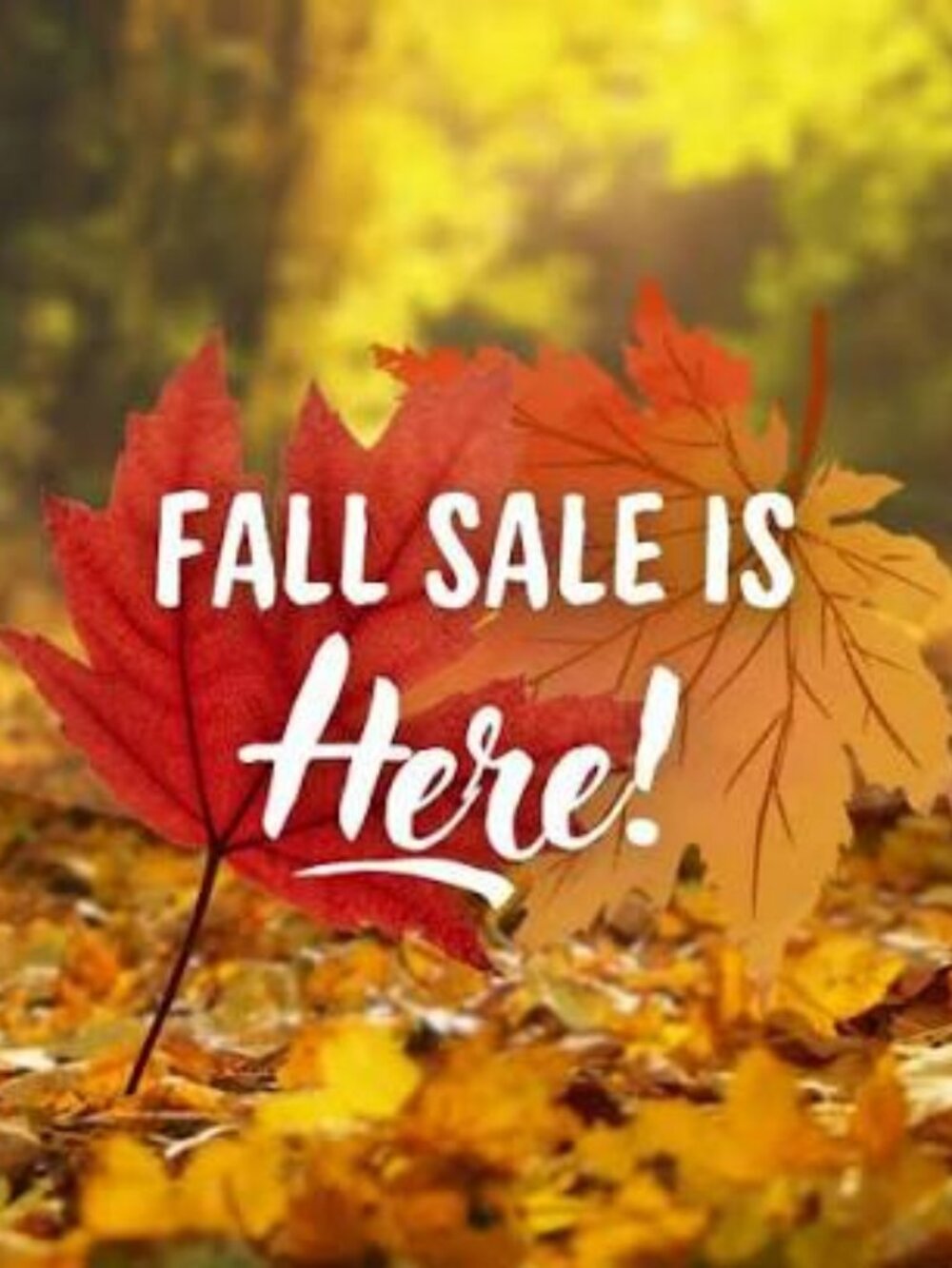 🍂 PRE-FALL SINGLE MYSTERY ITEM 🍂 Size Medium / 6 (NWT & Like New!)